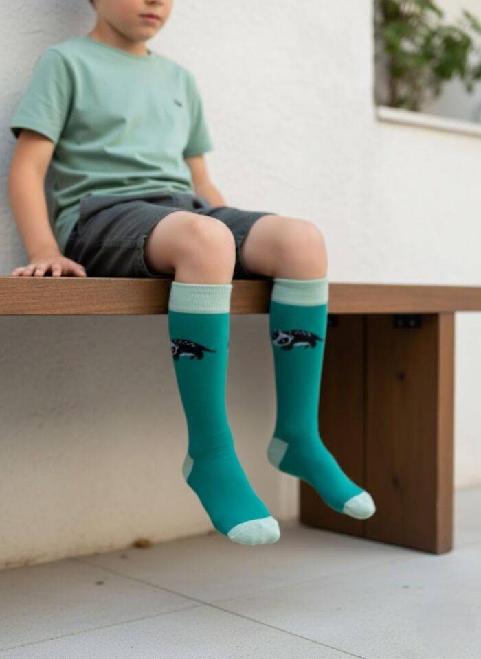 Rakun Desenli Çocuk Dizaltı Çorap